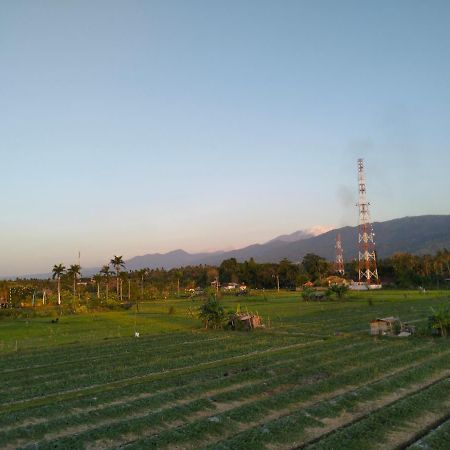 Villa Bintang Lovina  Luaran gambar