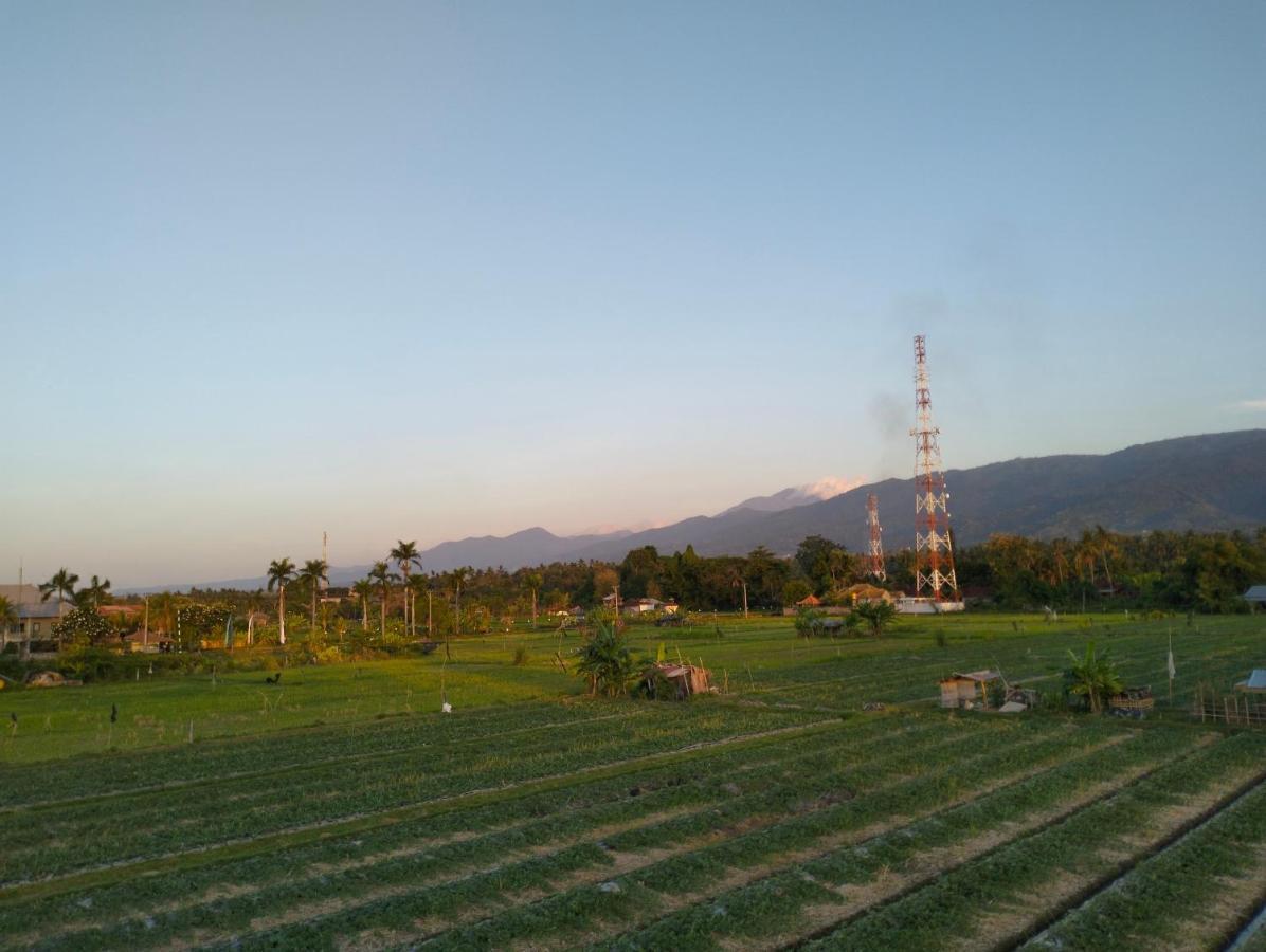 Villa Bintang Lovina  Luaran gambar